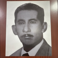 Nestor de Souza Pereira
