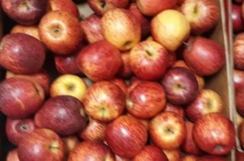 Frutas são servidas aos alunos de Platina