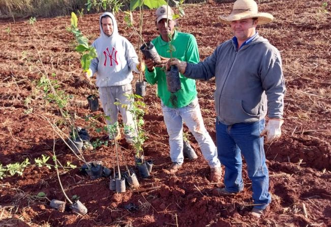 Prefeitura realiza Plantio de 100 Mudas de árvores nativas. 