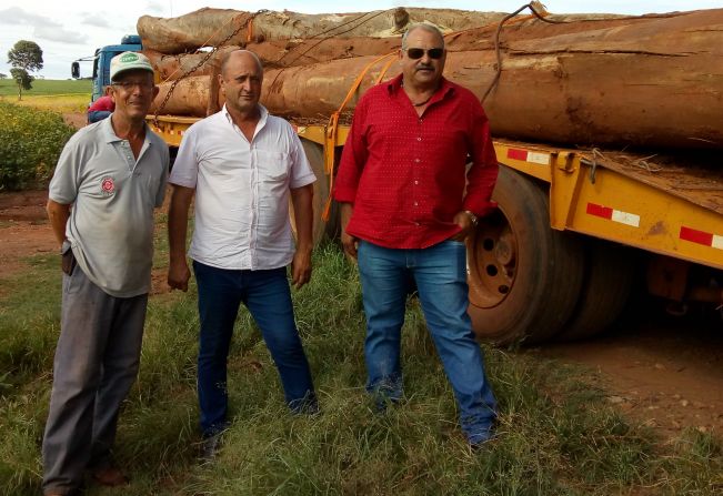 Toras para a Construção de Ponte.